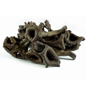 blacktrumpetwildfoodism